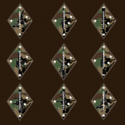 Phaseline Co Apparel 1st Div M81