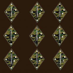 Phaseline Co 1st Div Woodland